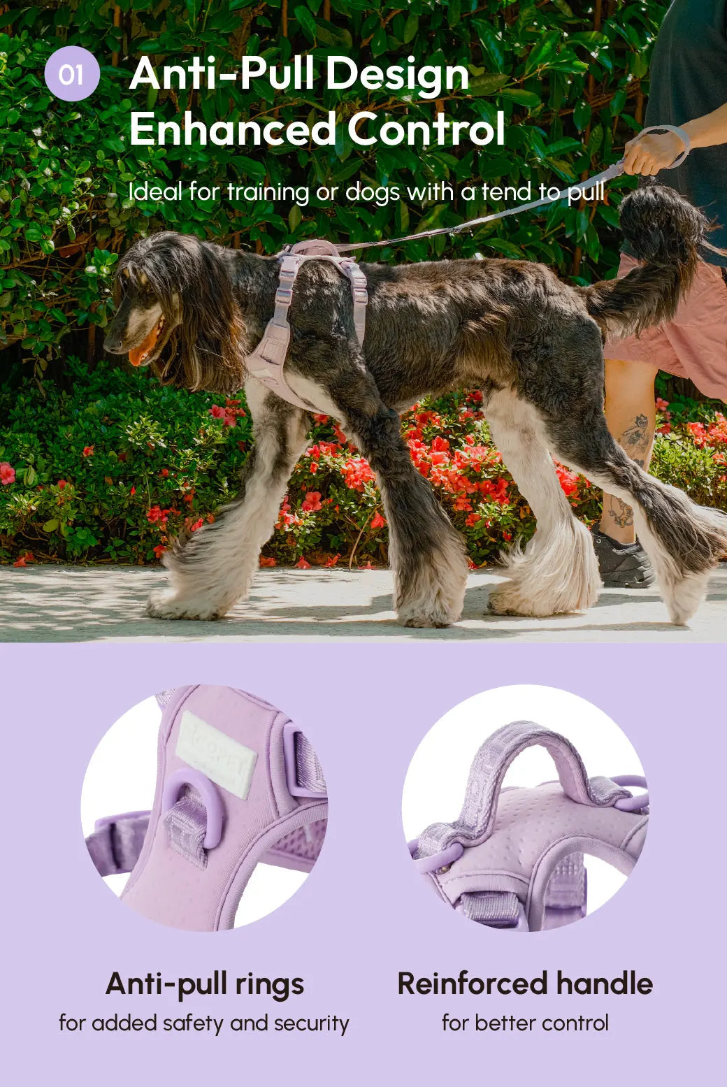 Mint purple dog harness with anti-pull design, featured on a dog walking outdoors alongside vibrant greenery.