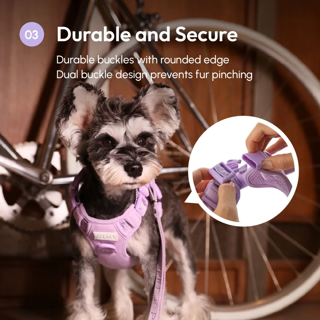 Small dog wearing a mint purple no-pull harness with rounded edge buckles, showcased with a bicycle in the background.