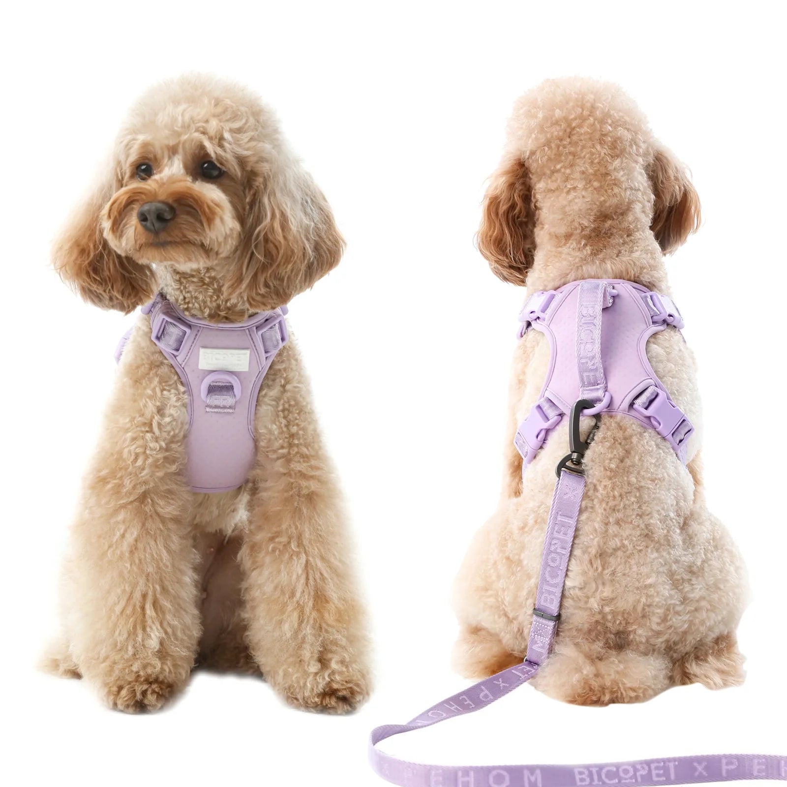 Mint purple dog harness with adjustable straps, featuring a reinforced handle and sleek design, on a fluffy dog.
