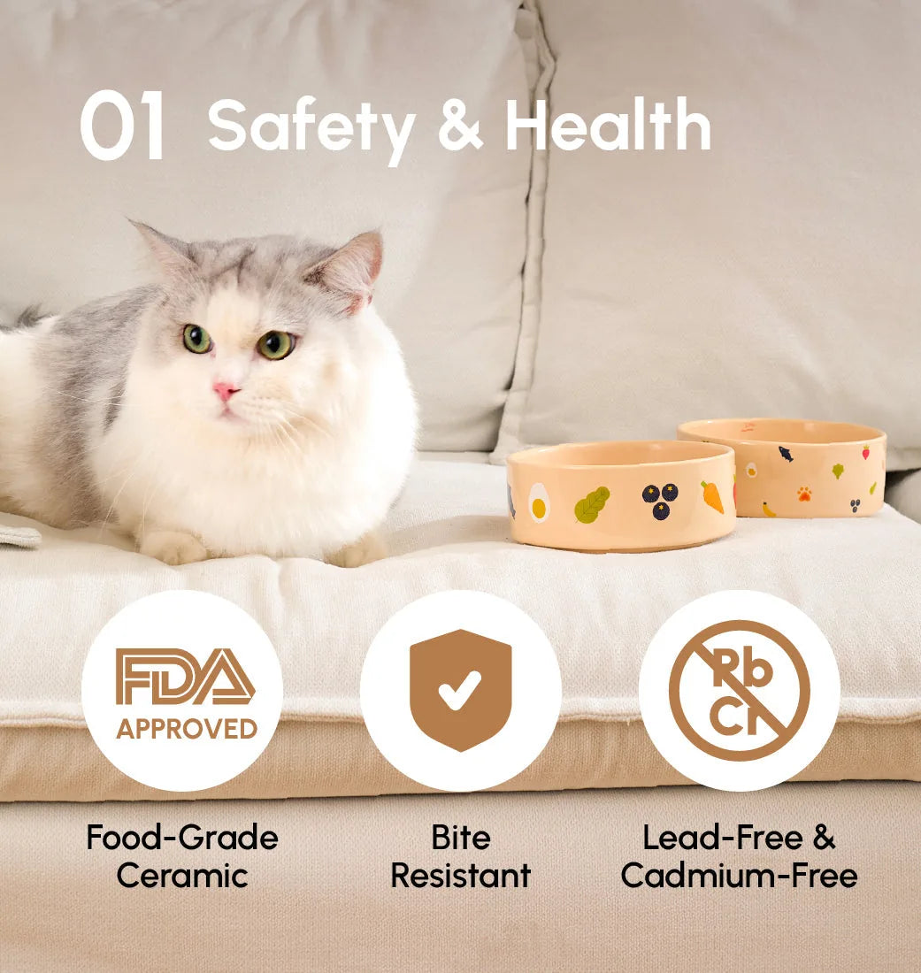 Ceramic pet bowls with colorful prints and a fluffy cat, placed on a beige couch, showcasing bite-resistant features.