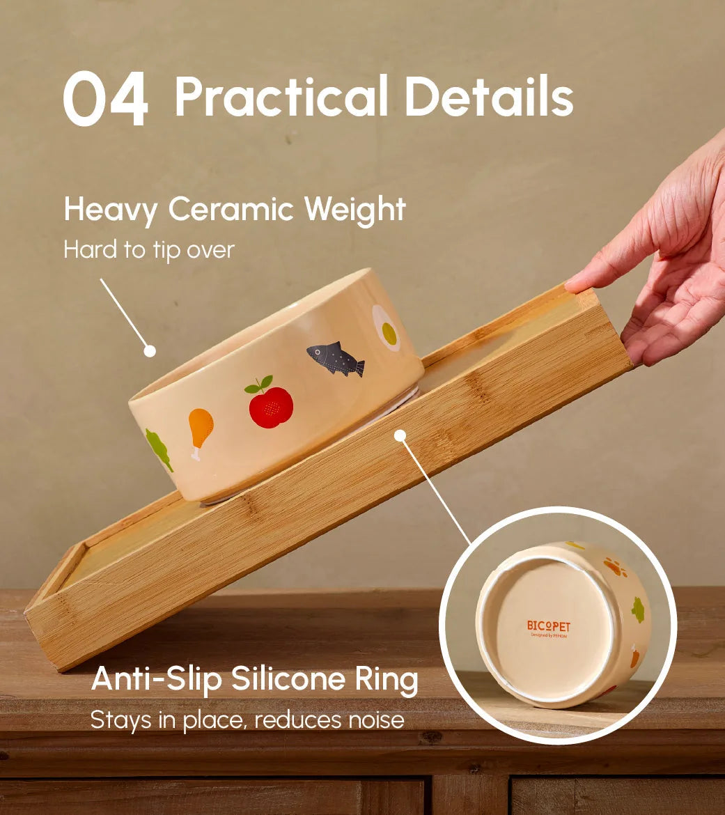 Nomnom Bowl in light beige ceramic with colorful food-themed prints, showcasing its anti-slip silicone ring and heavy design.