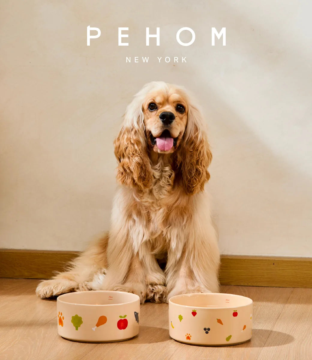 Nomnom Bowls by pehomnyc in light ceramic, featuring colorful food prints, with a dog sitting beside them.