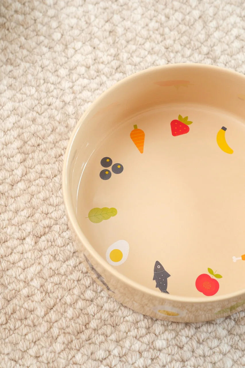 Ceramic pet bowl with colorful food illustrations on a beige interior, placed on a textured surface.
