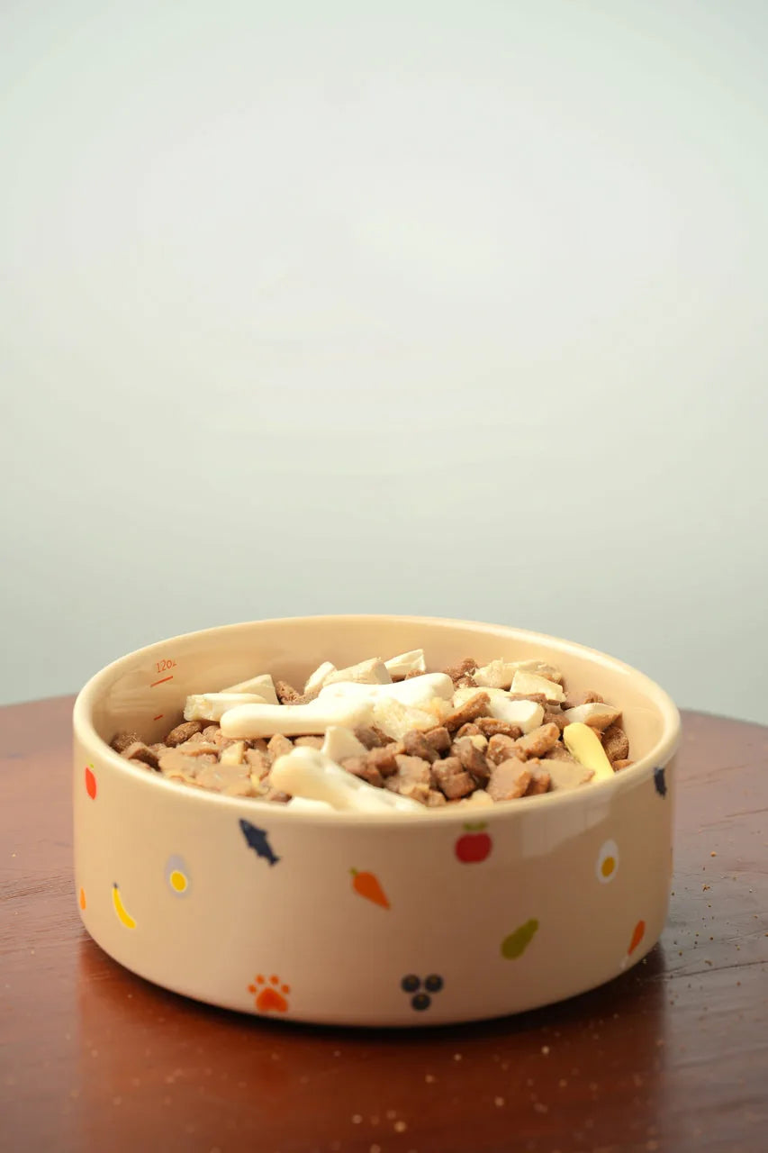Nomnom Bowl in cream with colorful patterns filled with food, featuring a non-slip base for stable feeding.