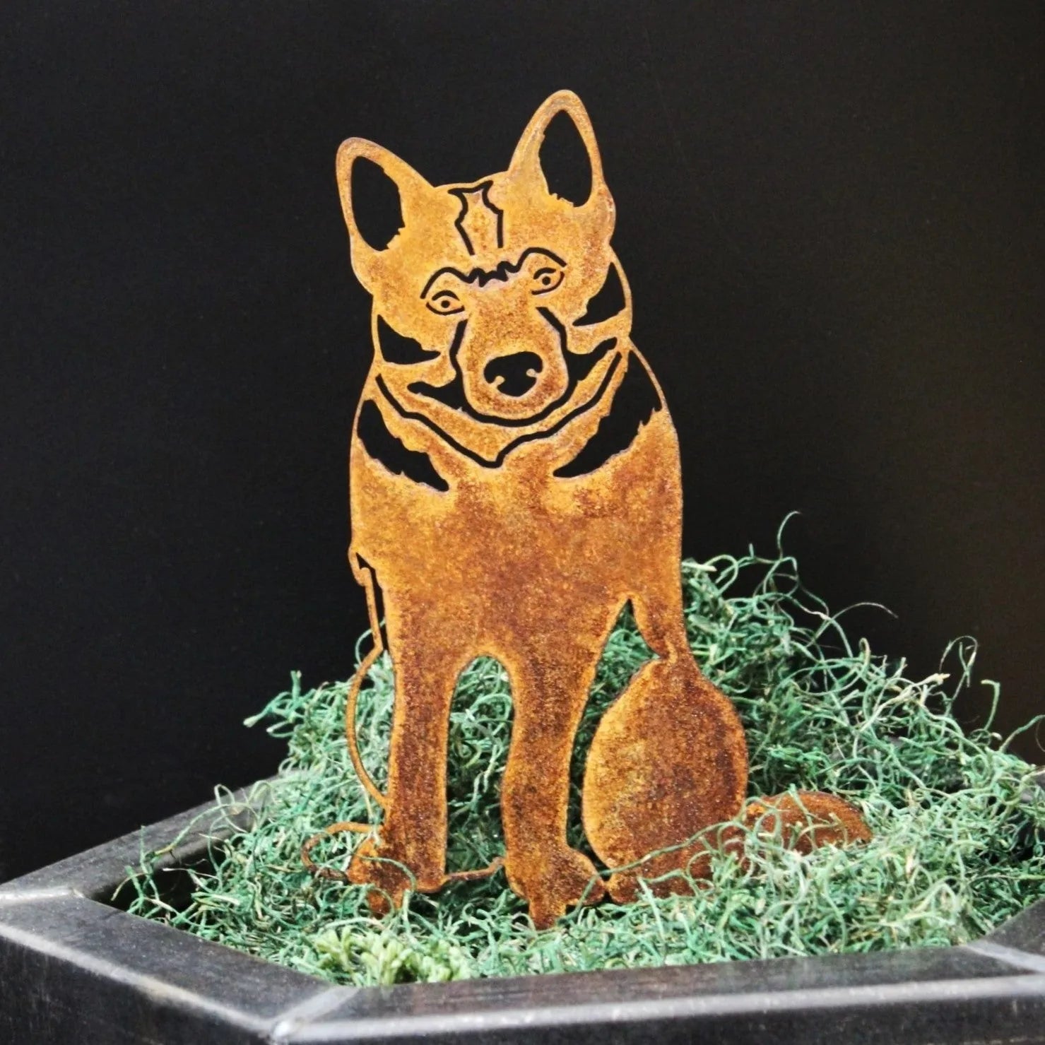 Rusty metal silhouette of a seated Norwegian Elkhound on green moss, perfect for outdoor décor.