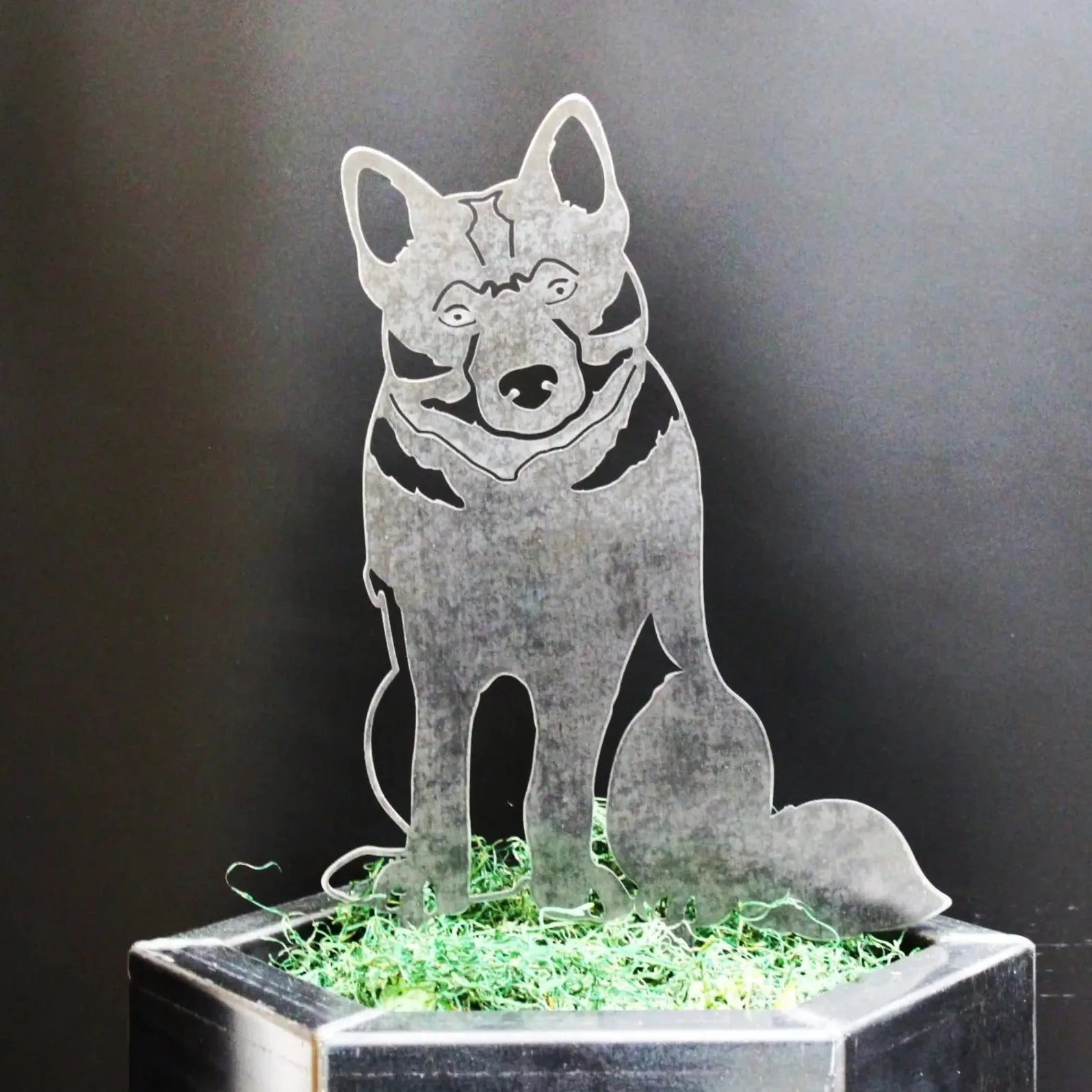 Norwegian Elkhound metal silhouette in Corten steel, showcasing a standing dog design on green moss in a planter.