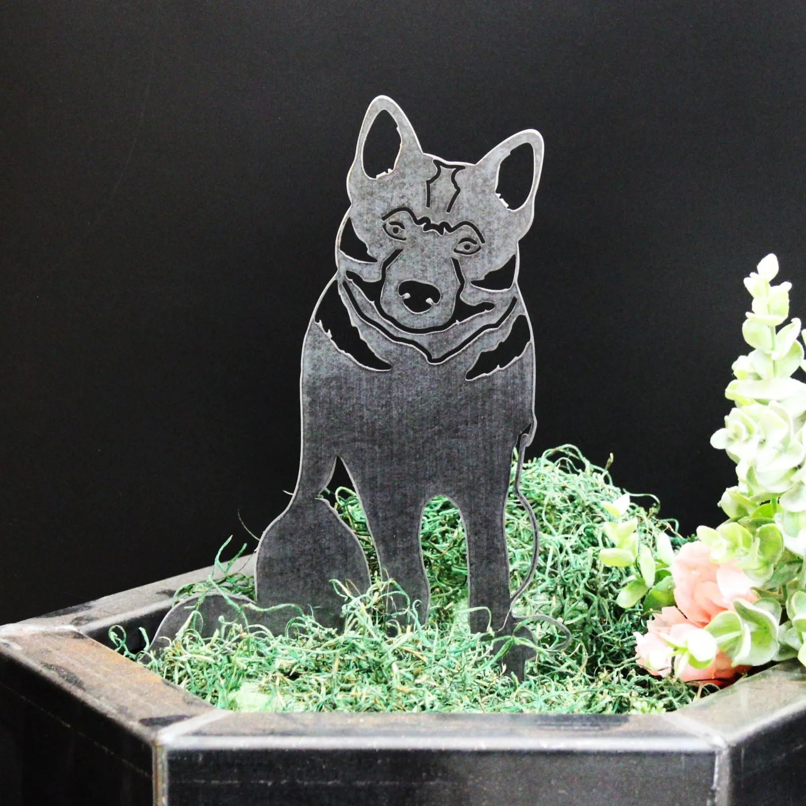 Norwegian Elkhound metal silhouette in matte black against green moss, enhancing outdoor décor in gardens or patios.