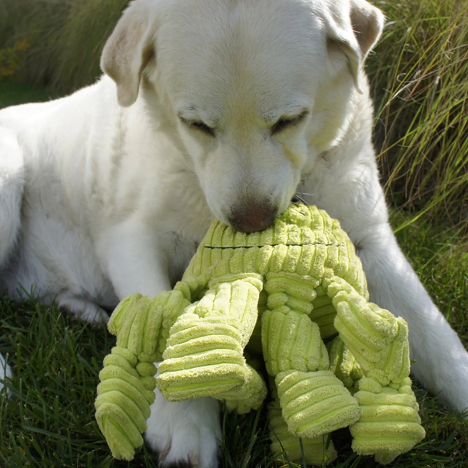 White dog playing with a large, plush Octavie octopus toy in bright green, surrounded by grass in sunlight.