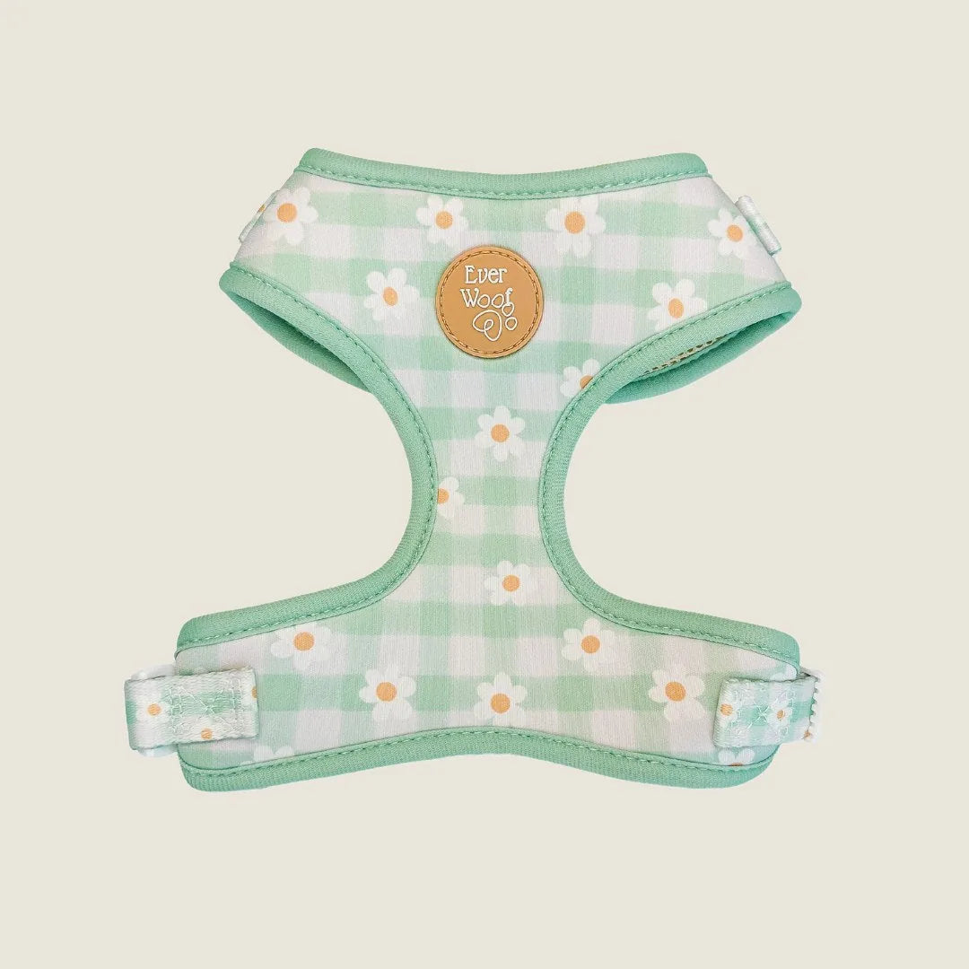 Lightweight green harness with a daisy pattern, featuring adjustable straps and a comfortable fit for dogs.