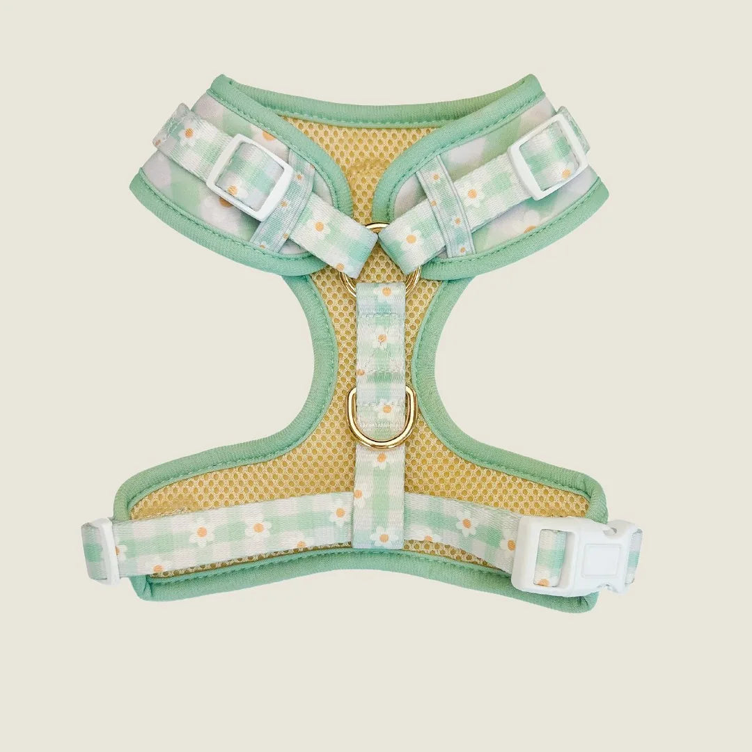 Lightweight adjustable dog harness with a yellow mesh, green trim, and colorful daisy pattern, ideal for comfortable walks.