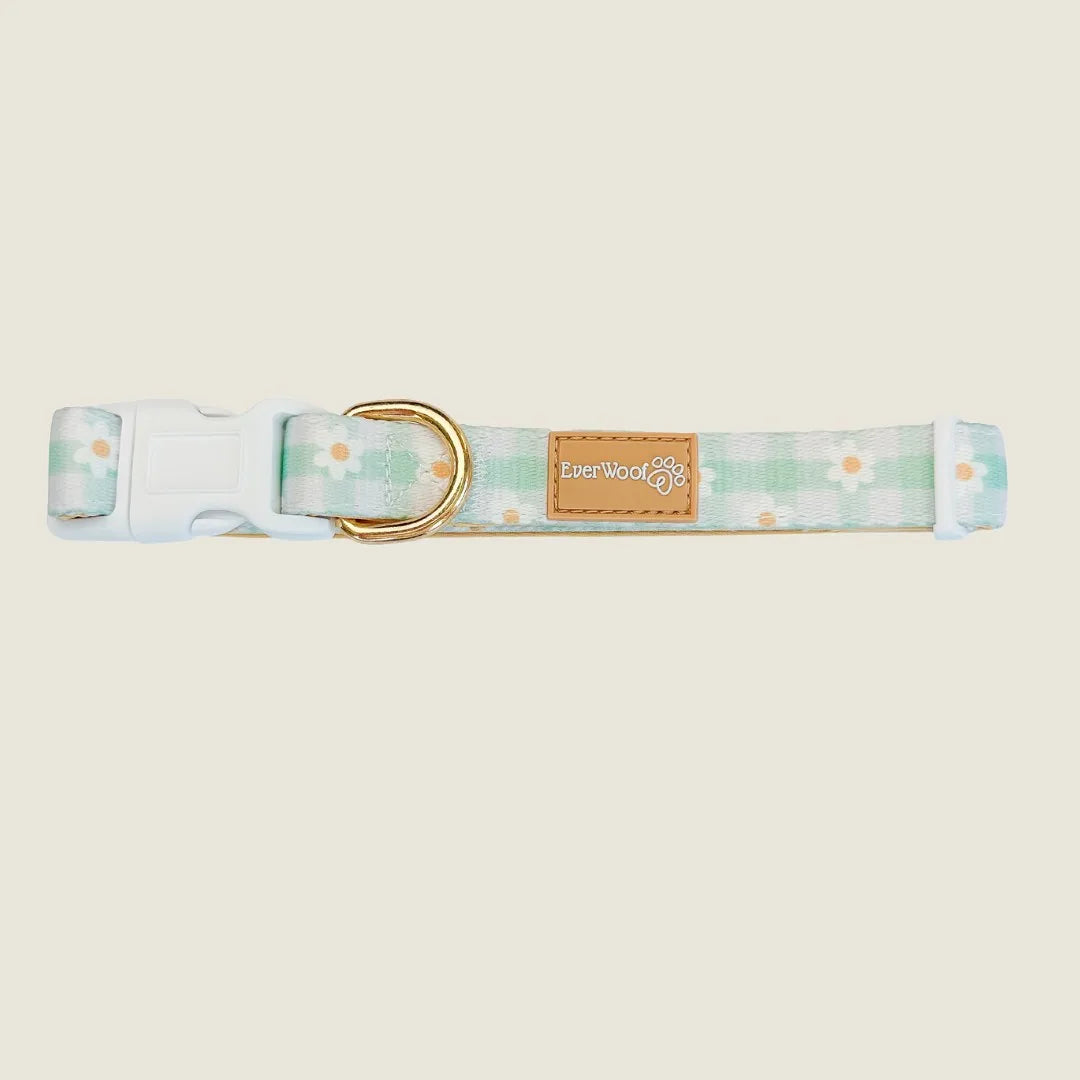 Adjustable mint green dog collar with daisy pattern, neoprene padding, and gold-tone hardware by EverWoof.
