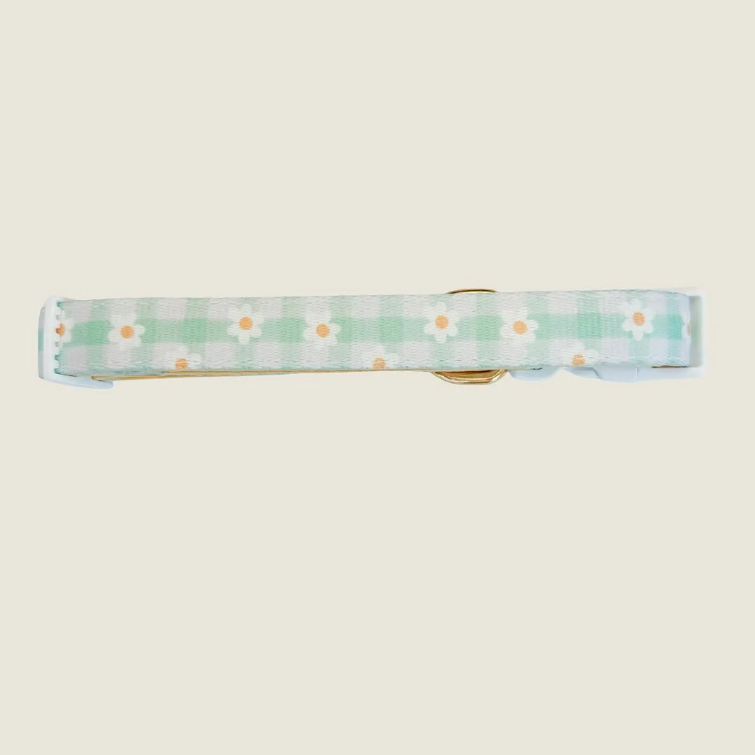 Adjustable dog collar with a green and white checkered pattern, featuring small daisies and a gold buckle.