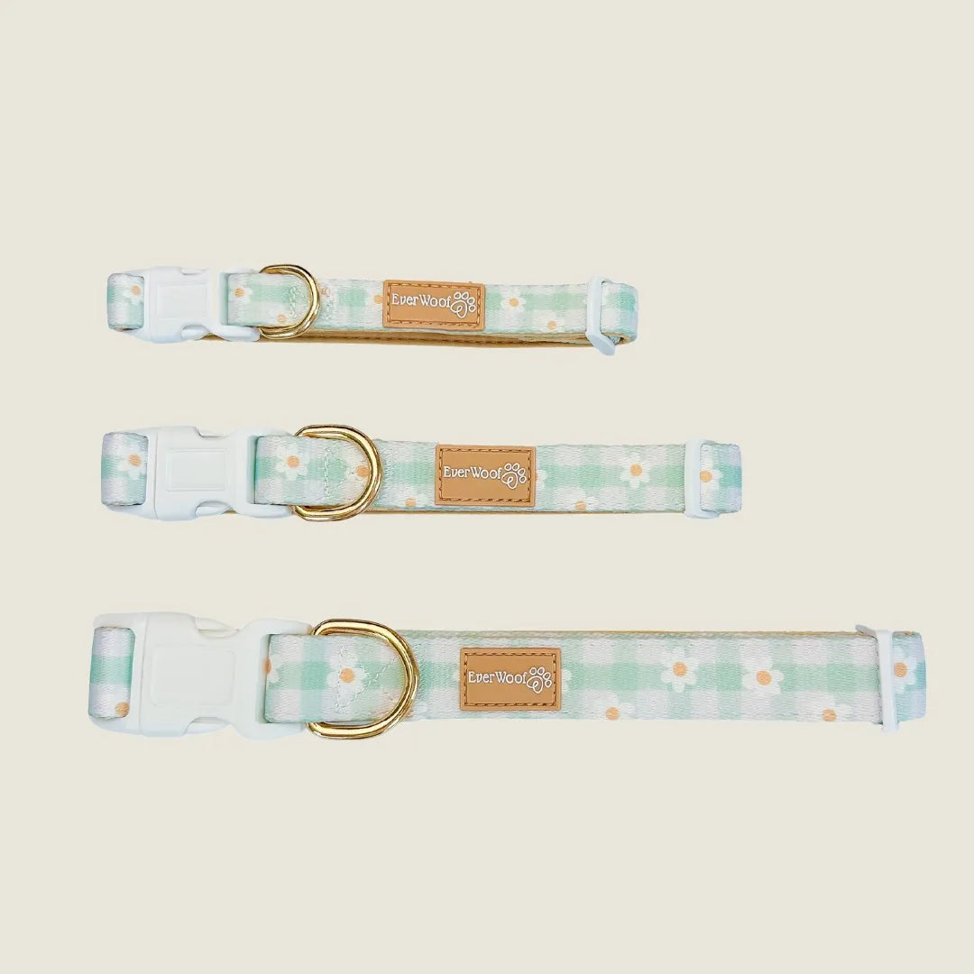 Adjustable Oopsie Daisy! collar in pastel green plaid with floral design, featuring neoprene padding and gold hardware.