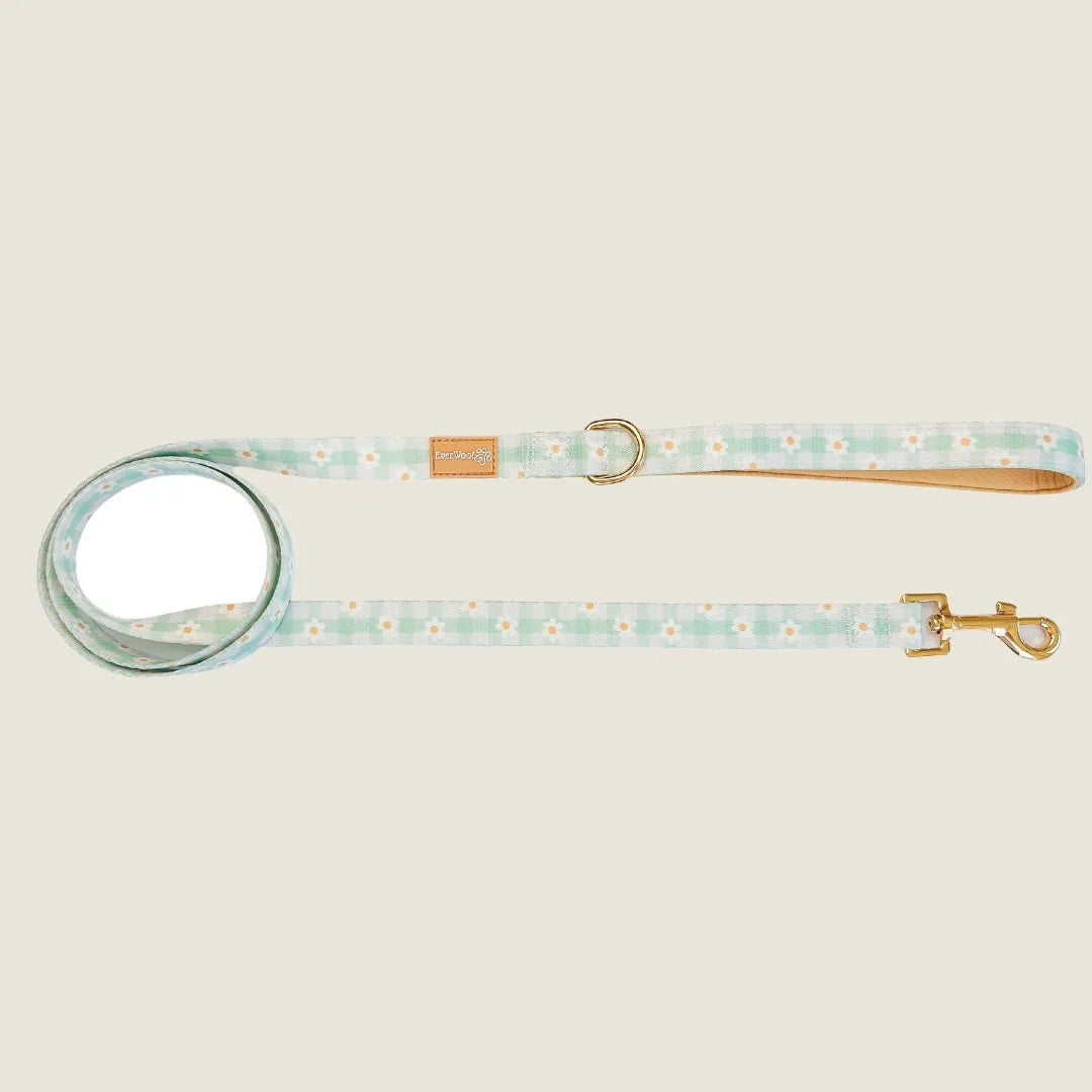 Light blue Oopsie Daisy leash with floral pattern, featuring a padded handle and metal clip for attachments.