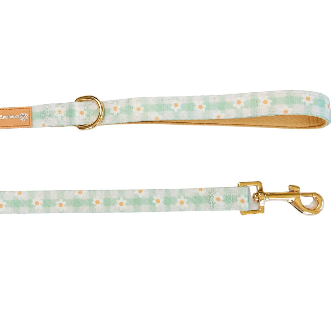 Light green leash with a daisy pattern, featuring a gold clip and neoprene padded handle for comfort.