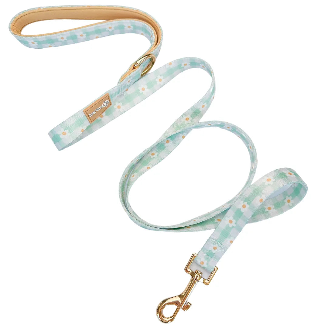 Light blue leash with a floral pattern, zinc alloy clip, and padded handle, perfect for daily dog walks.