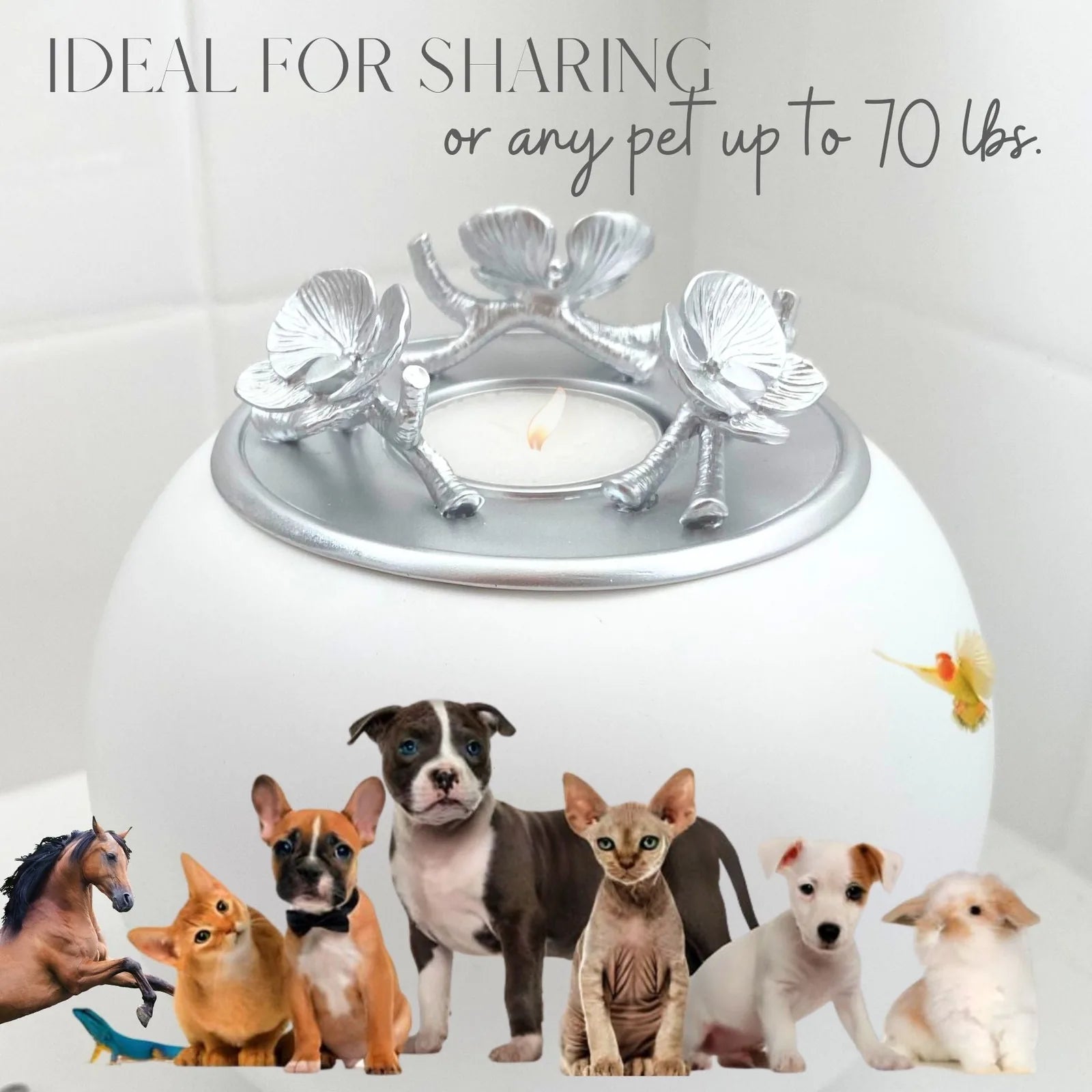 Handmade white orchid urn for pet ashes with a silver flower lid, suitable for pets up to 70 lbs, ideal for sharing.