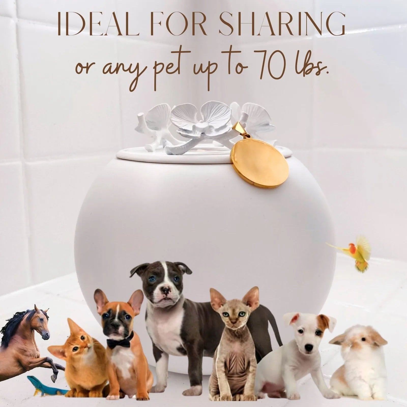 Handmade white Orchid Urn with floral lid, ideal for dog ashes, surrounded by various pet silhouettes.