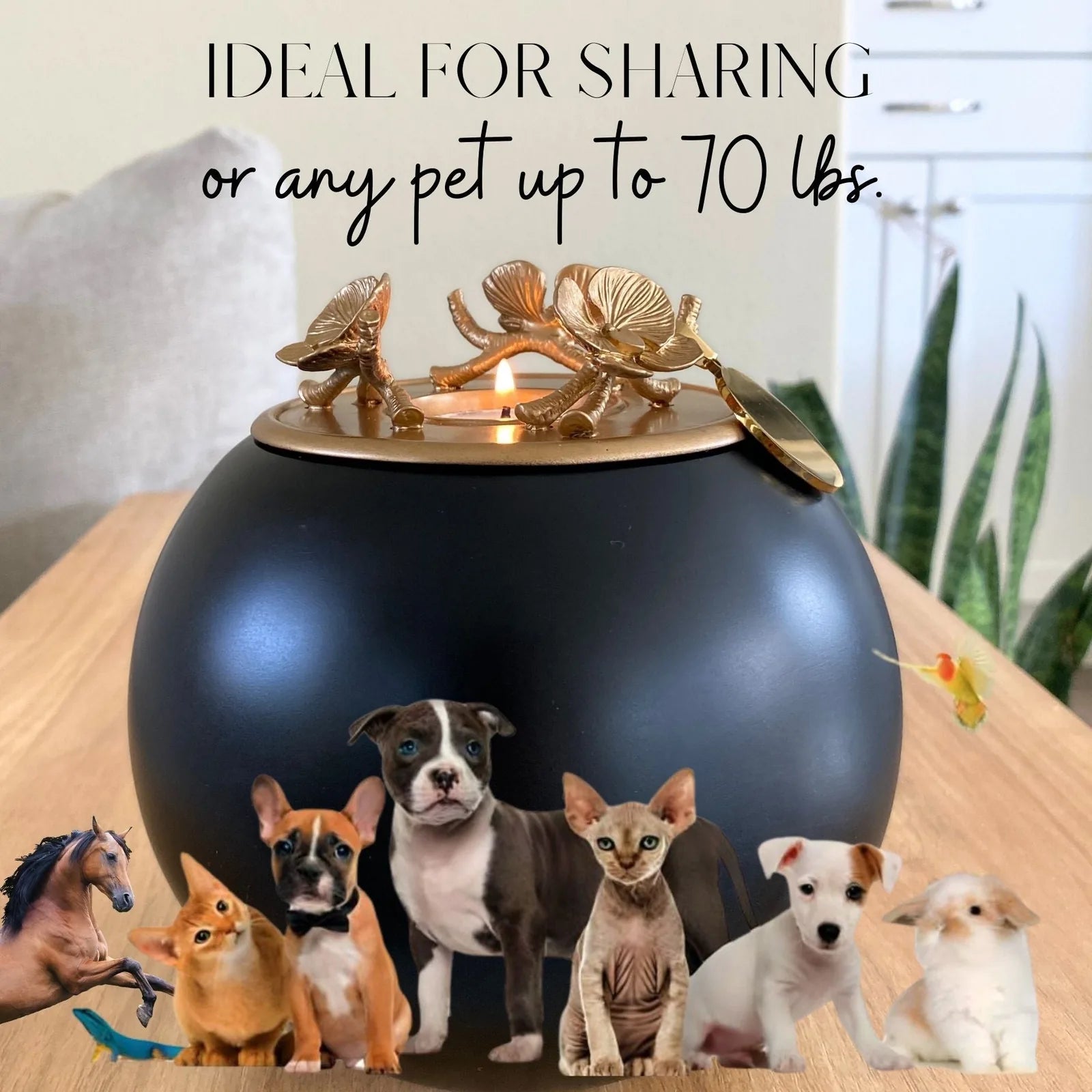 Handmade black orchid urn with a decorative gold lid, showcasing a warm glow and surrounded by various pet images.