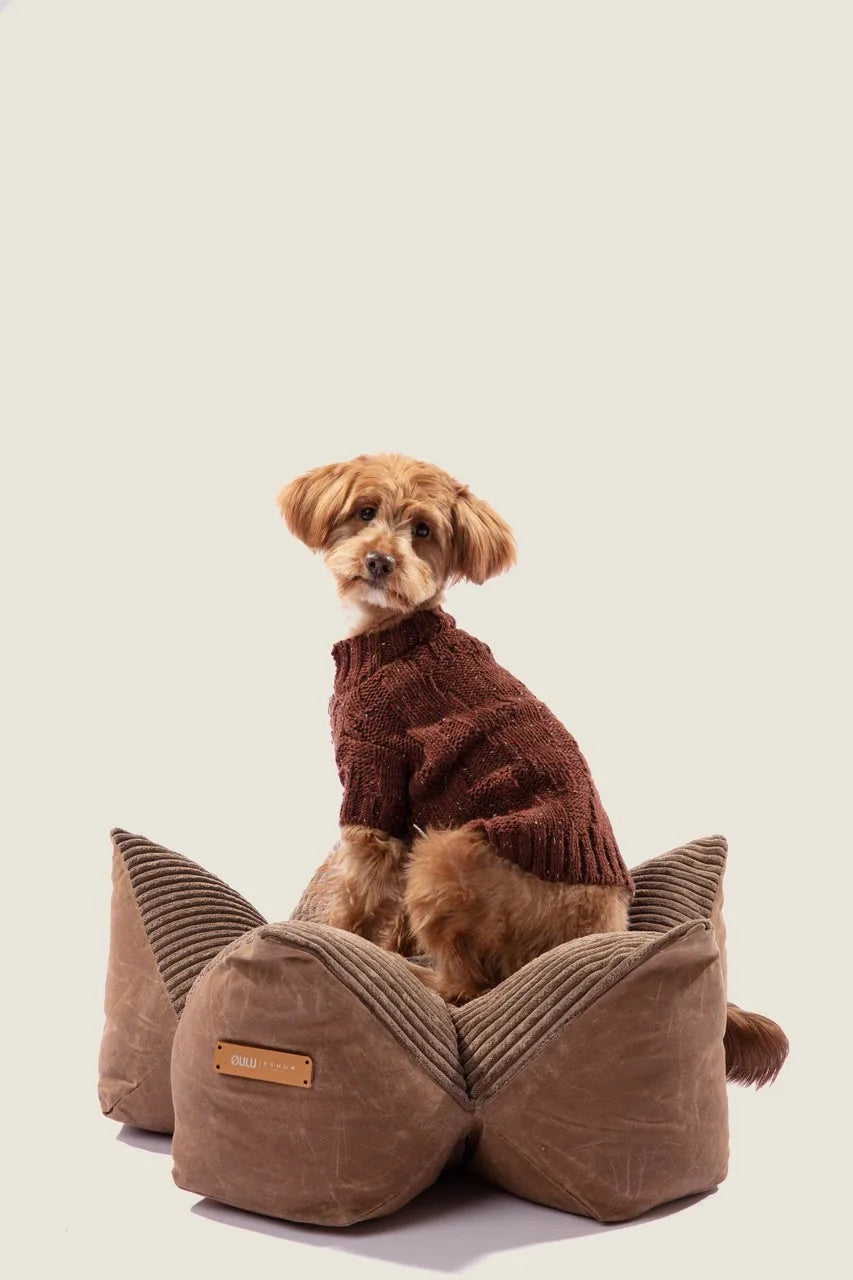 Cozy brown dog in a knitted sweater sitting on a stylish OULU X PEHOM cuddle pet pillow bed.