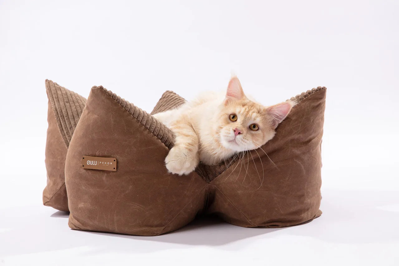 Cozy pet pillow bed in Canyon Brown with raised edges, featuring soft corduroy lining and a relaxed cat.