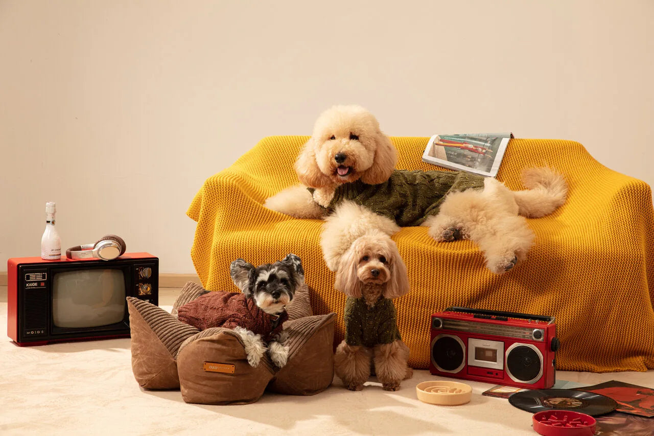 Navy blue and olive green cuddle pet pillow bed with raised edges, surrounded by three dogs on a vibrant yellow couch.