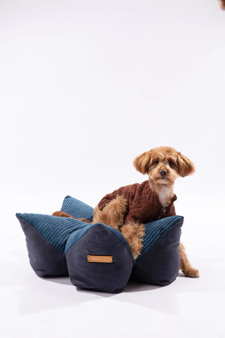 Navy blue and olive green round pet pillow bed with a dog in a brown sweater, featuring raised edges and soft corduroy lin...
