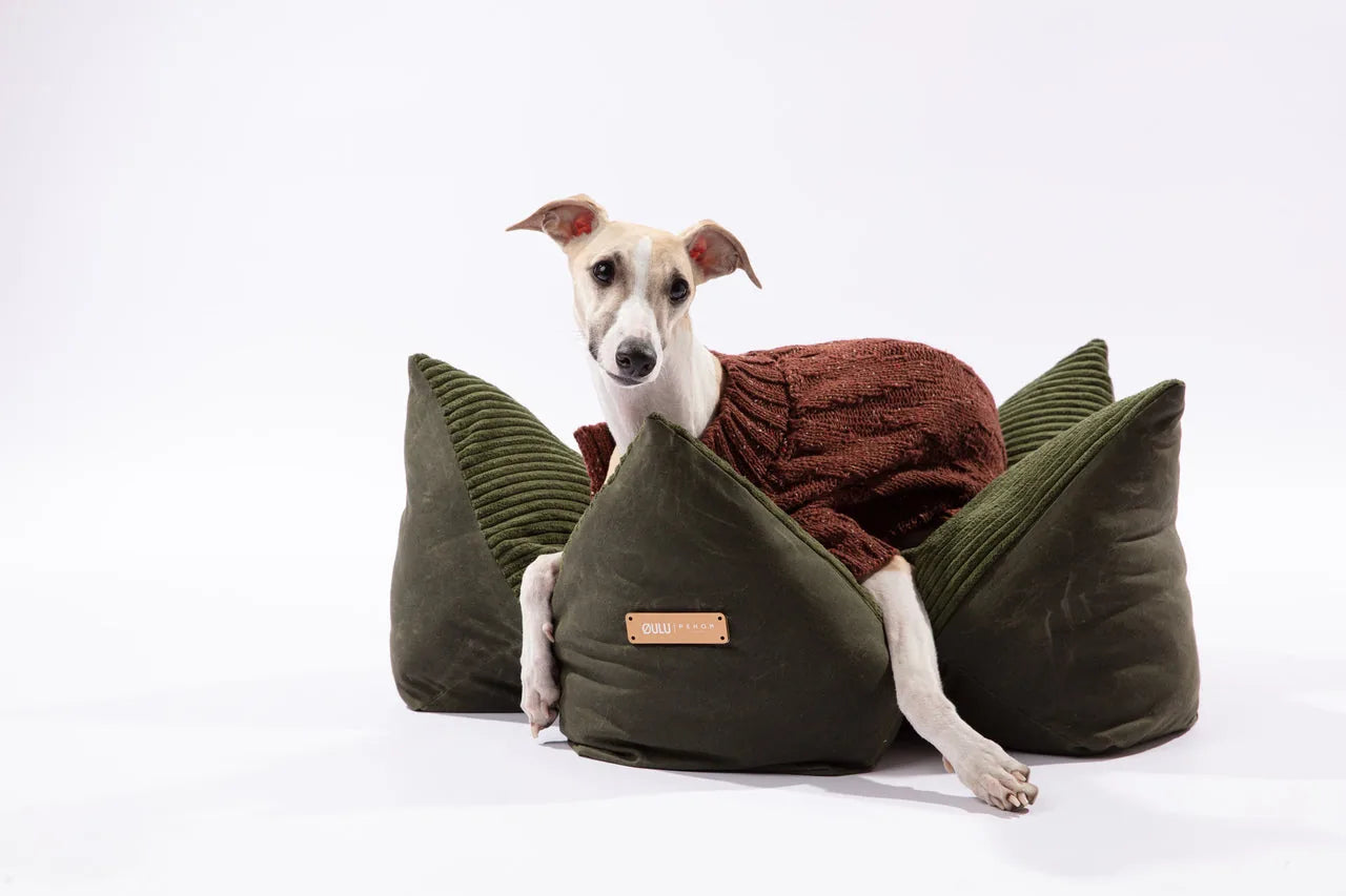 Whippet lounging on a cozy olive green cuddle pet pillow bed with raised edges and soft texture.