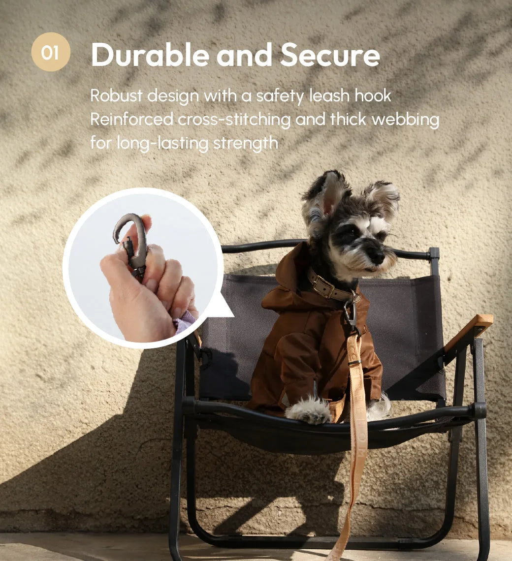Apricot padded dog leash with a safety hook sits beside a small dog in a brown coat on a chair.
