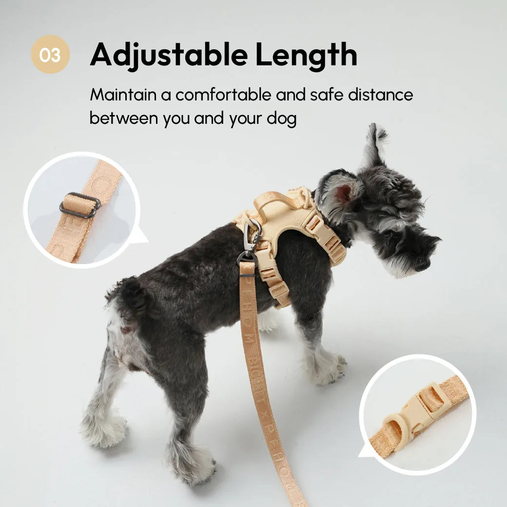 Padded apricot dog leash attached to a harness, showcasing adjustable length and reinforced stitching for durability.