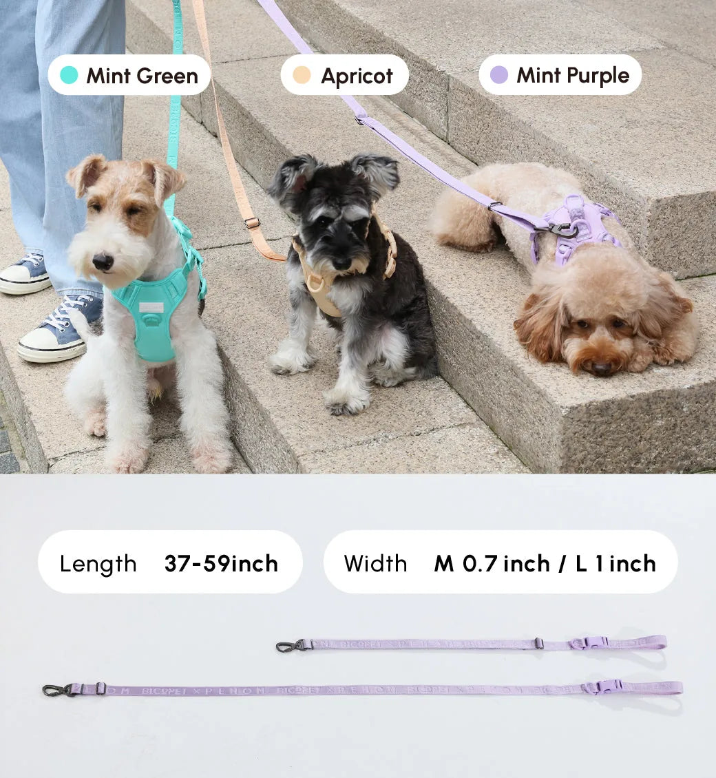 Padded active pet leash in apricot color, featuring durable materials and reinforced stitching, shown alongside dog harnes...
