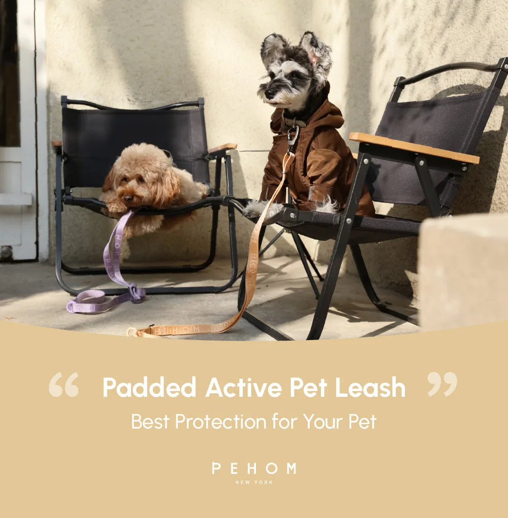 Padded active pet leash in apricot color, resting next to a dog on a chair in a sunny outdoor setting.