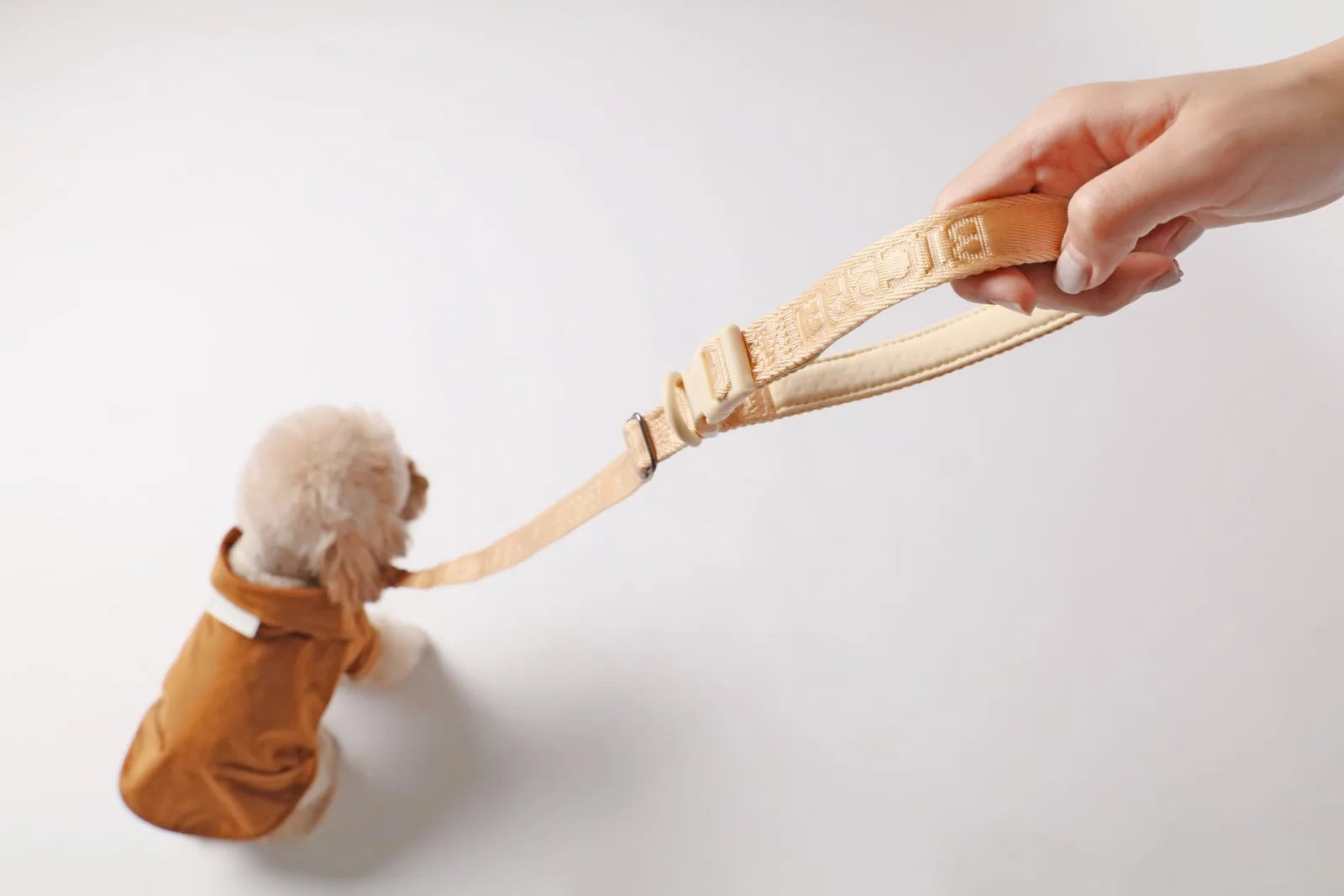 Padded apricot dog leash being held, featuring soft webbing and a small poodle wearing a brown jacket.