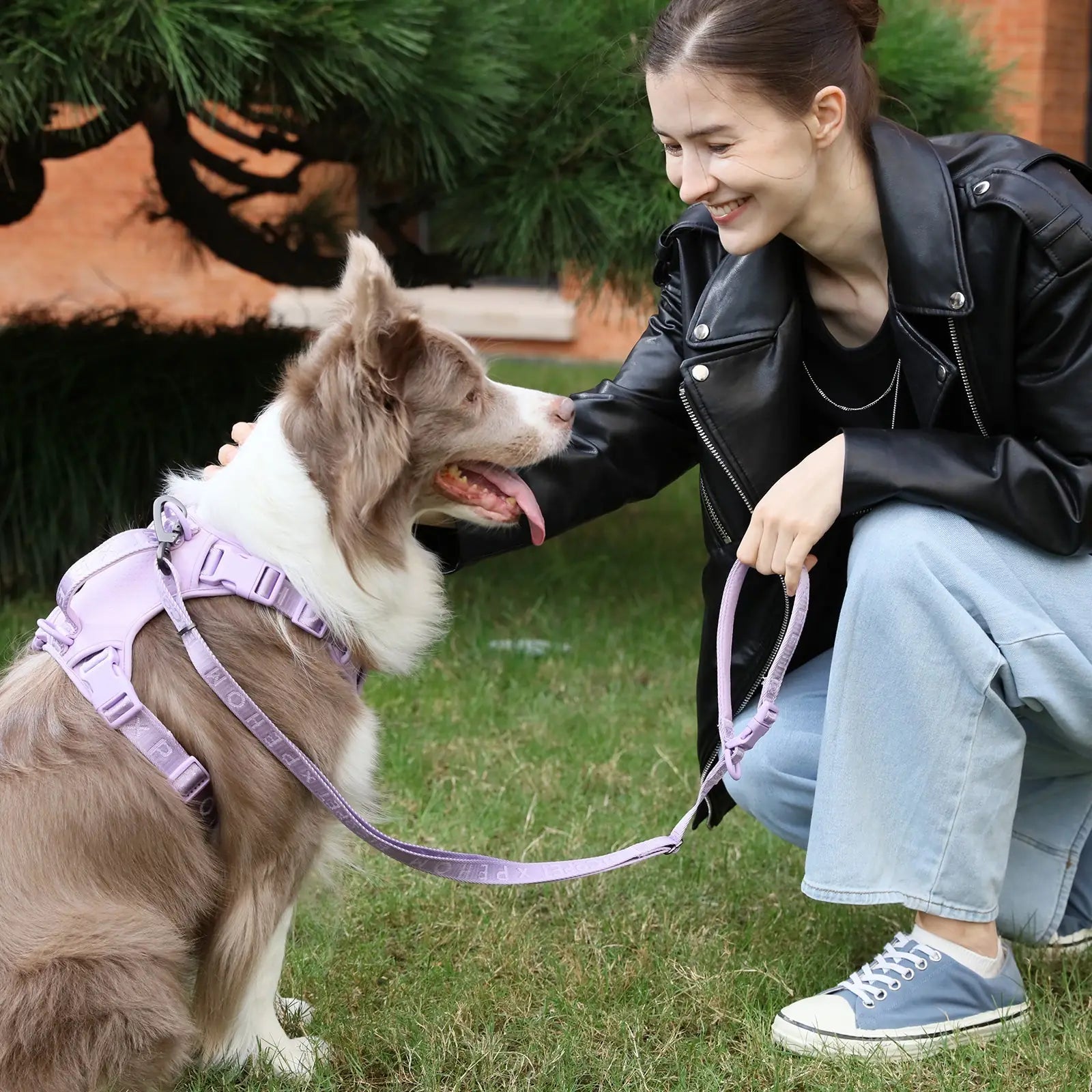 Padded apricot dog leash held by a woman in a black jacket, with a friendly dog sitting on grass.