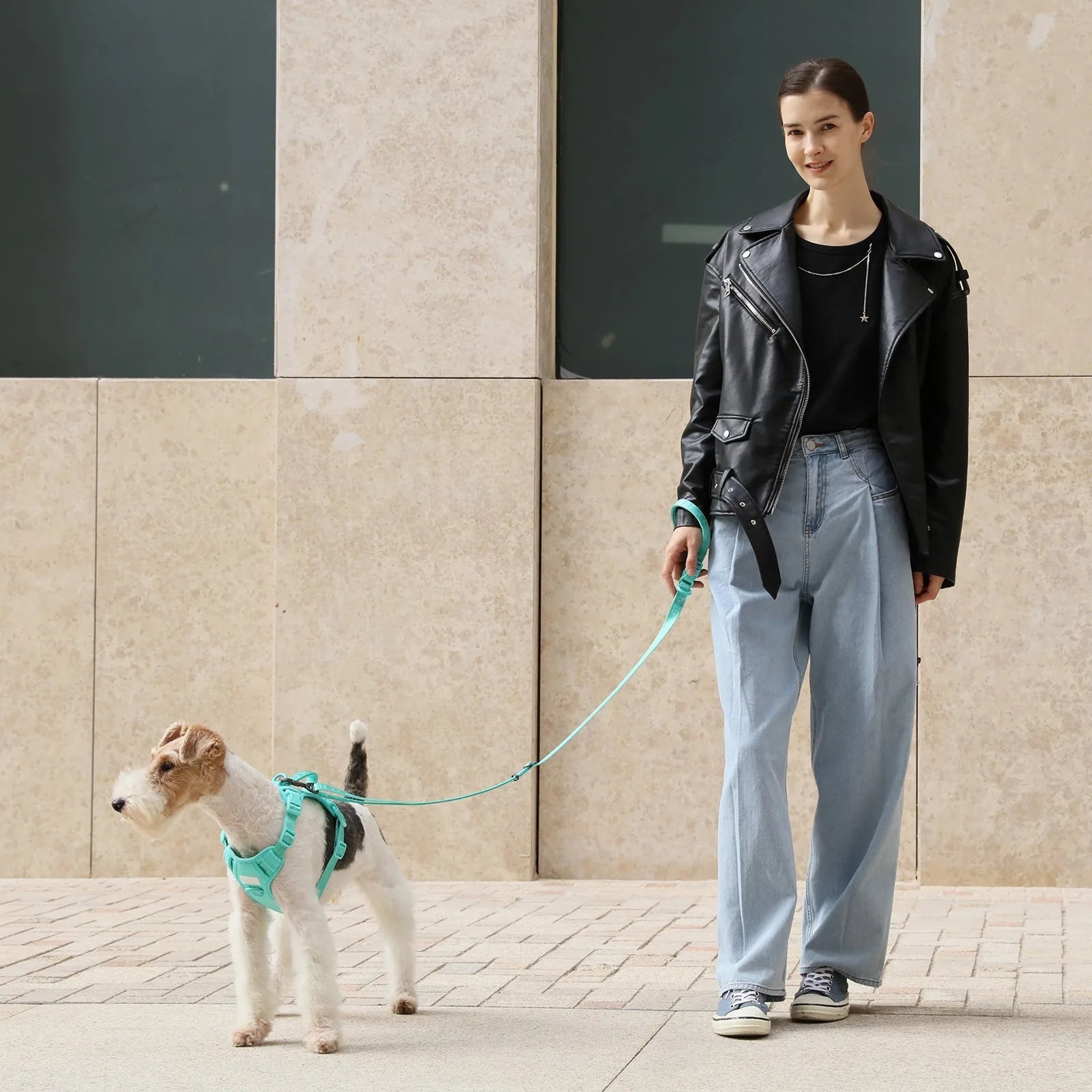 Leash features a padded handle in apricot, paired with a dog wearing a matching harness, set against a modern backdrop.
