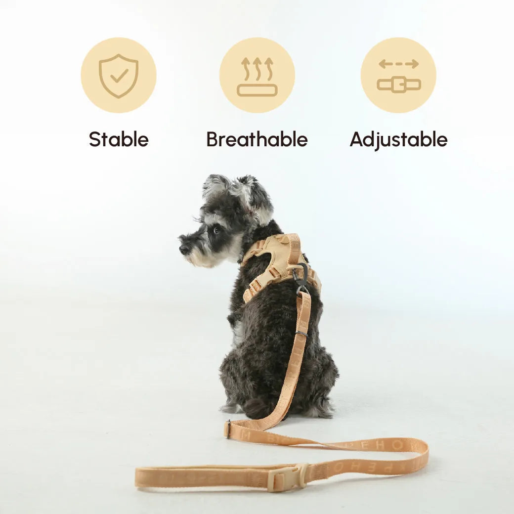 Apricot padded leash draped beside a grey dog in a harness, showcasing its comfort and durability features.