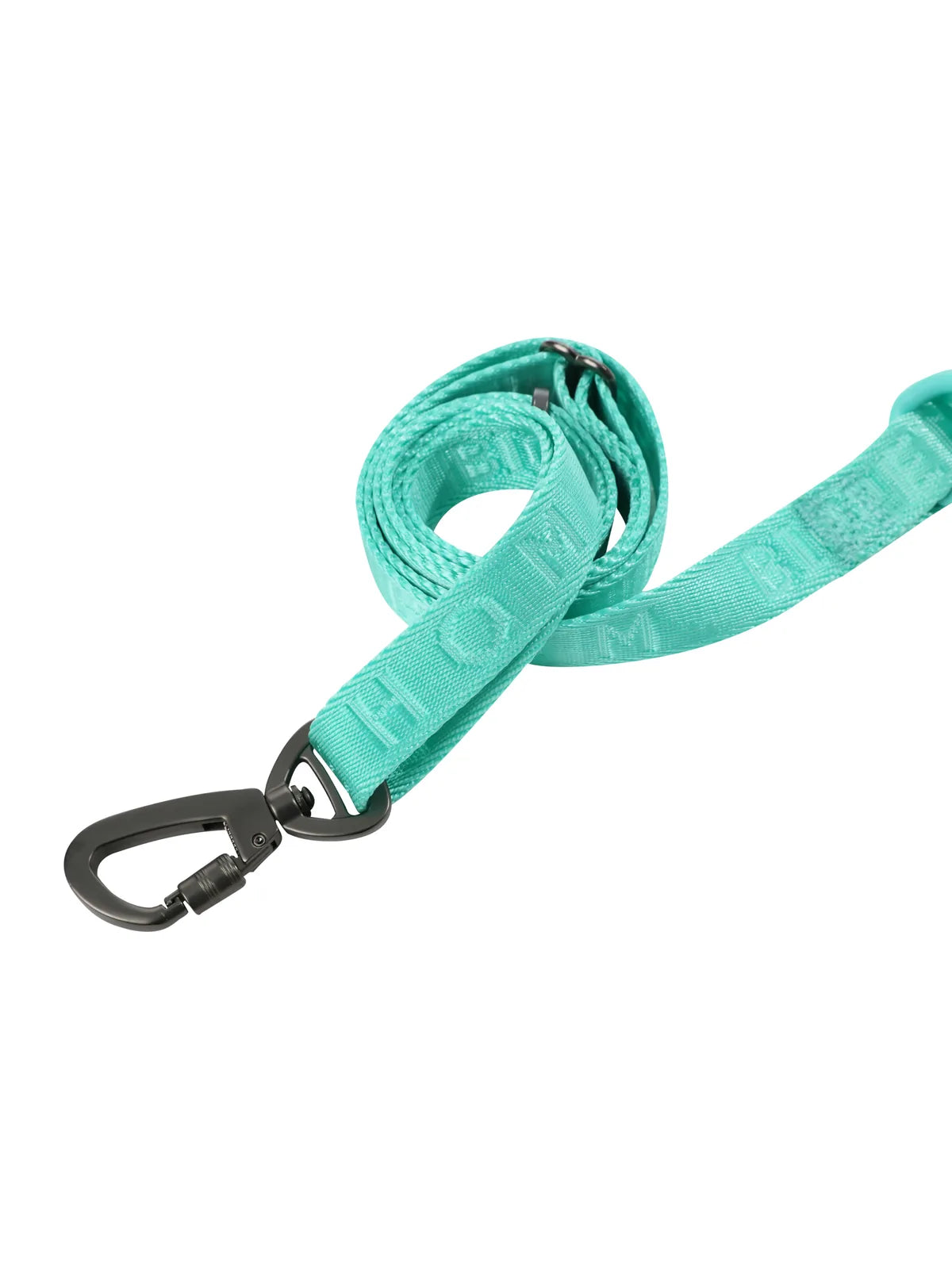 Mint green padded dog leash with reinforced stitching, featuring a durable webbing and safety hook.