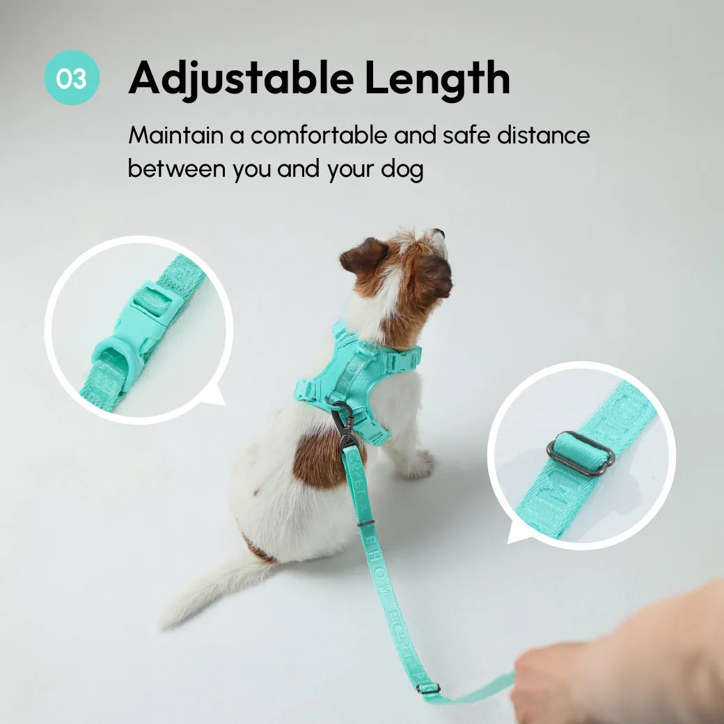 Mint green padded dog leash with an adjustable length, featuring a safety hook and matching harness on a small dog.