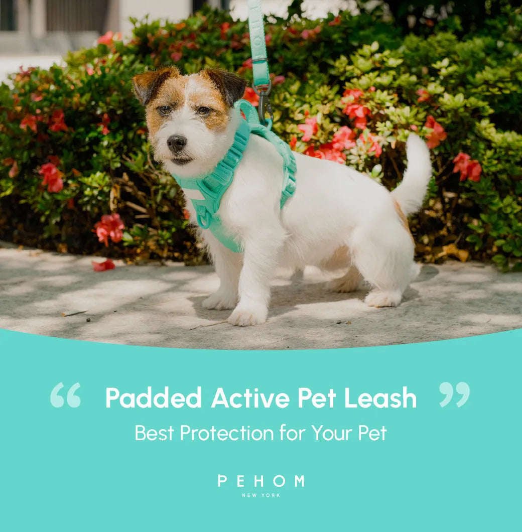 Padded active pet leash in mint green, securely attached to a small dog, surrounded by colorful flowers.