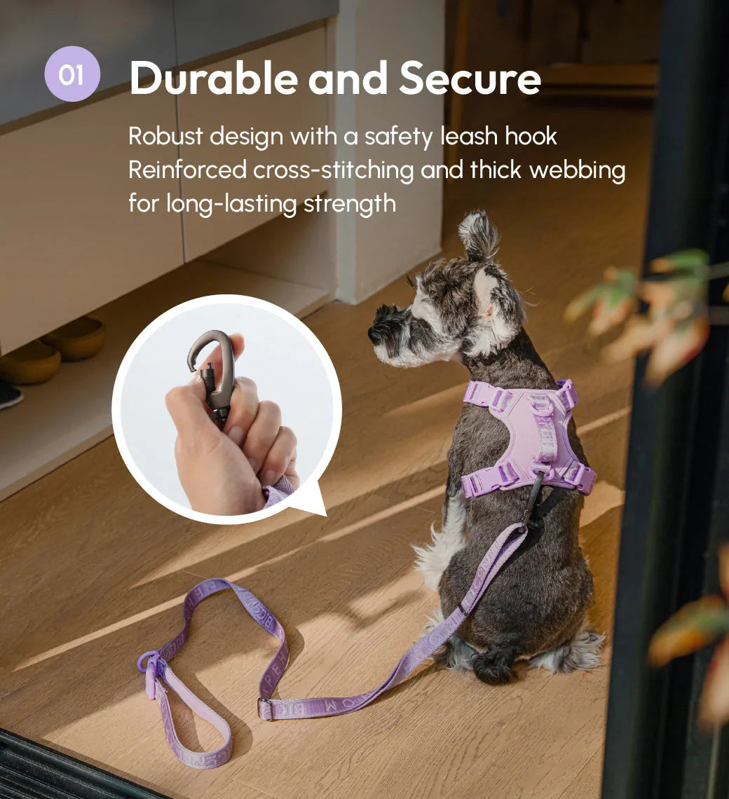 Padded mint purple dog leash with durable webbing and a safety hook, shown secured to a dog in a home setting.
