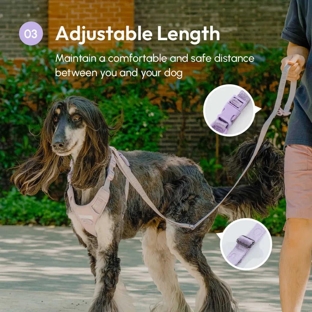 Padded active dog leash in mint purple, featuring adjustable length and a soft handle, shown with a dog outdoors.
