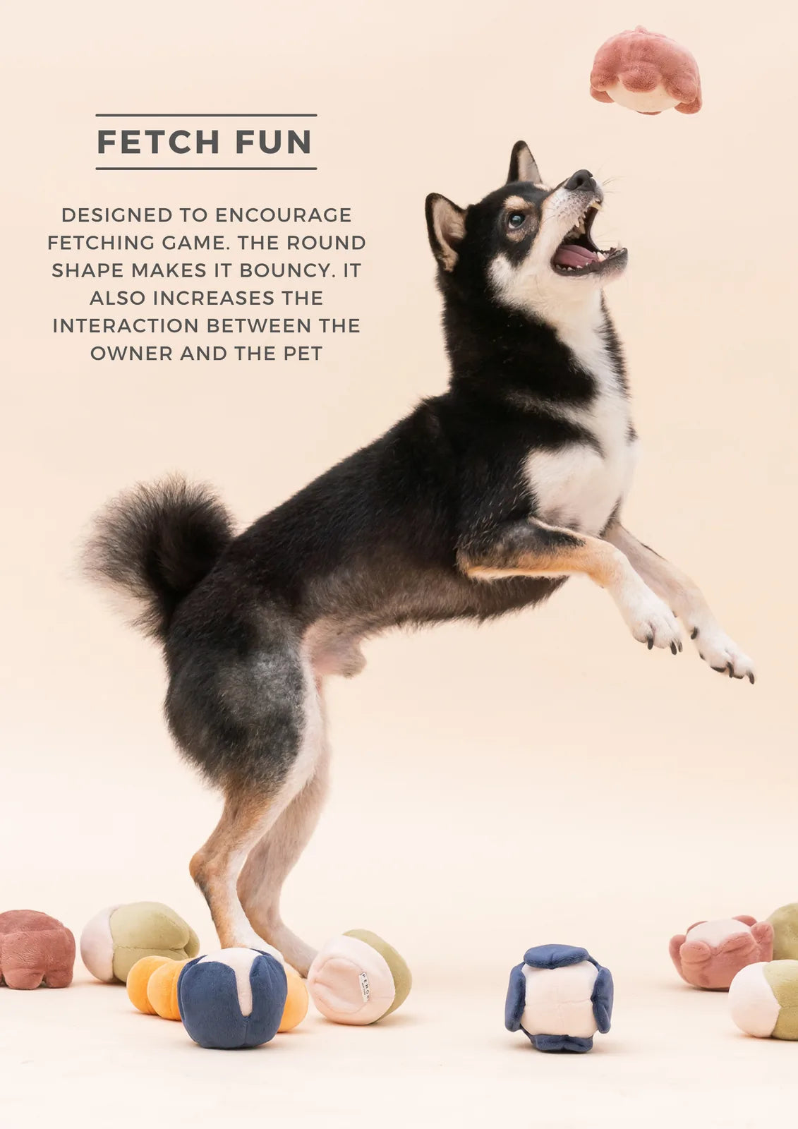 A playful black and tan dog jumps excitedly toward a round plush toy among colorful soft balls on a light background.
