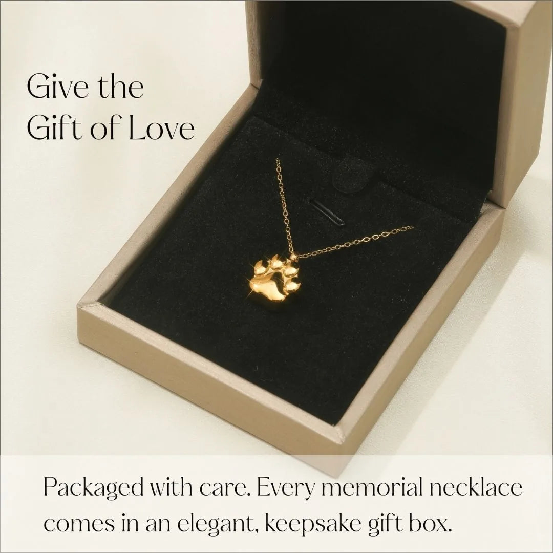 Gold paw print cremation necklace resting in a black velvet-lined gift box, showcasing a heartfelt memorial piece.