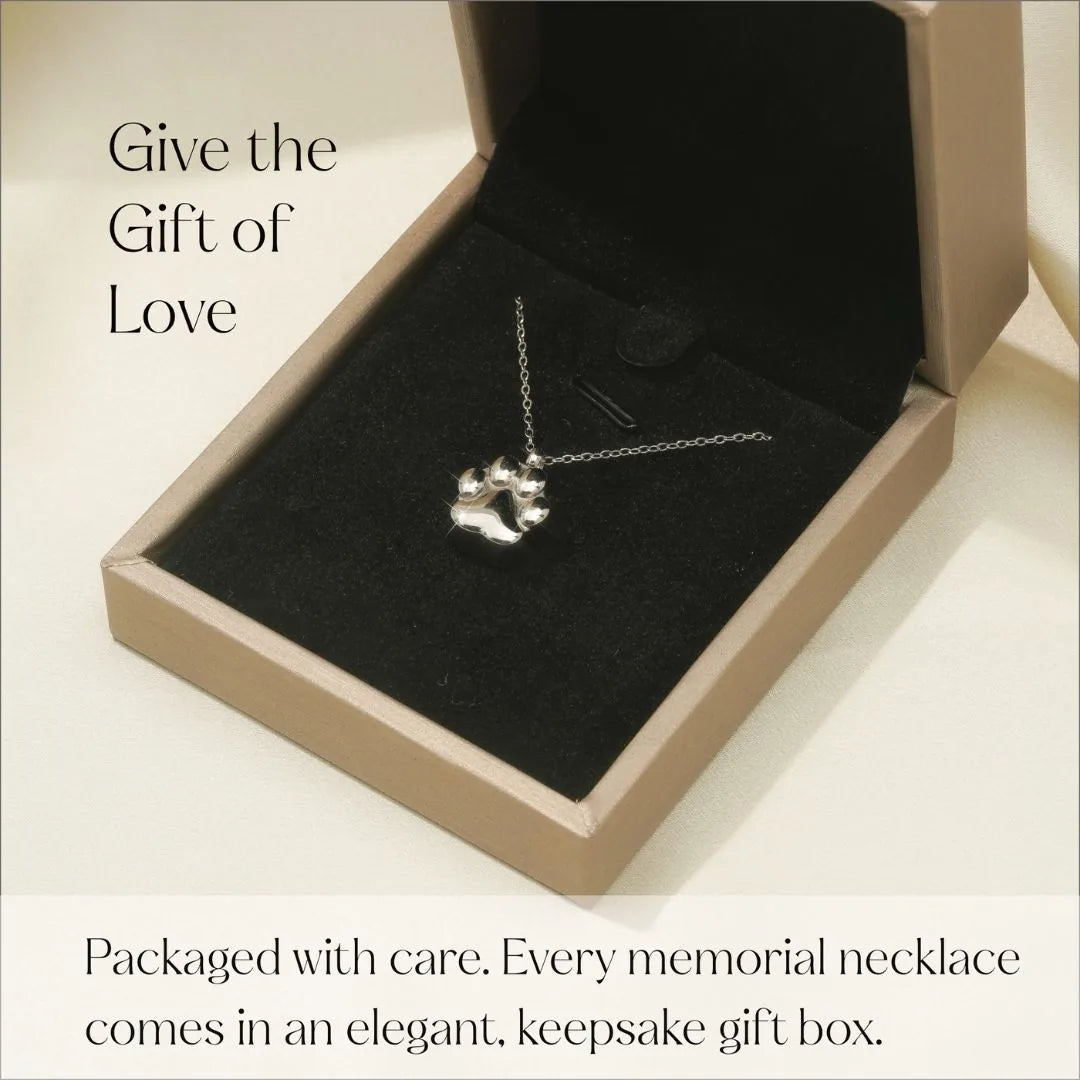 Silver paw print cremation necklace resting in an elegant keepsake box with black velvet lining.