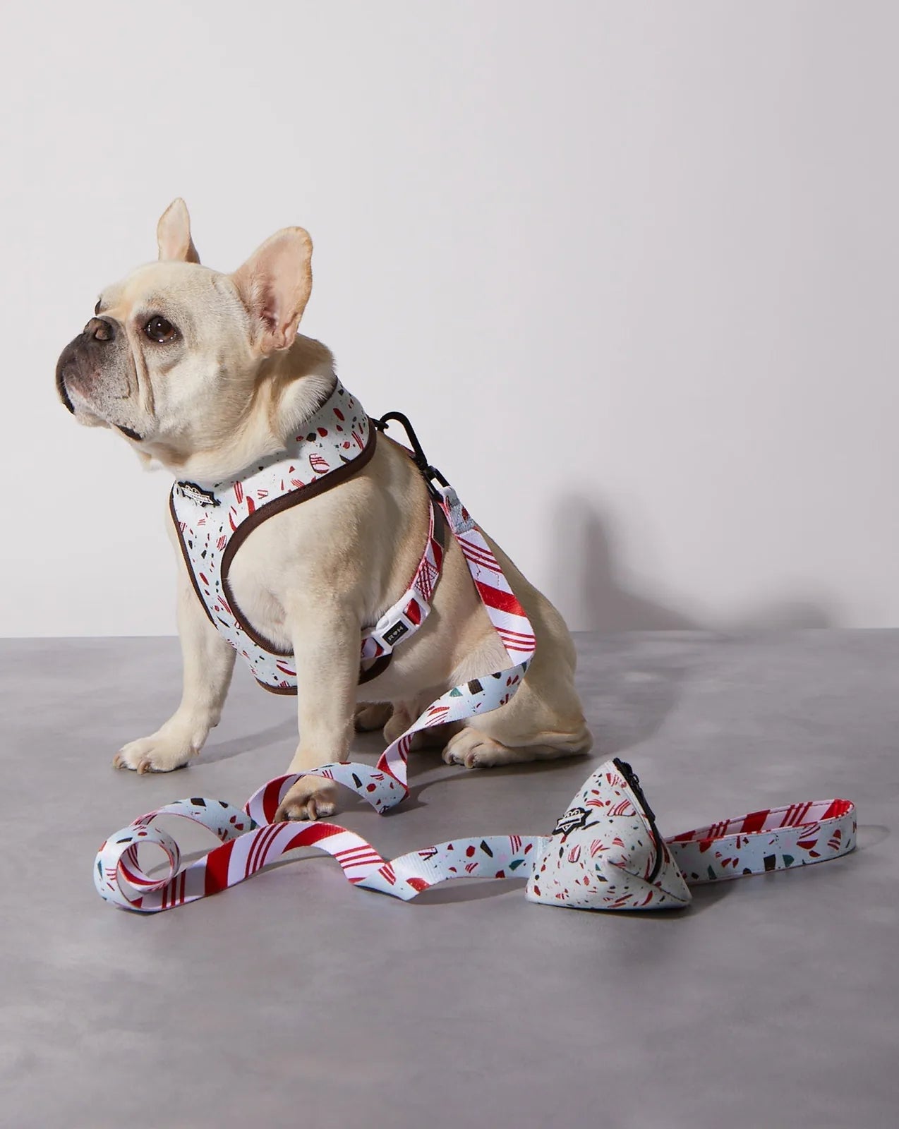 Peppermint bark patterned dog leash in vibrant red and white, featuring a comfortable neoprene-lined handle.