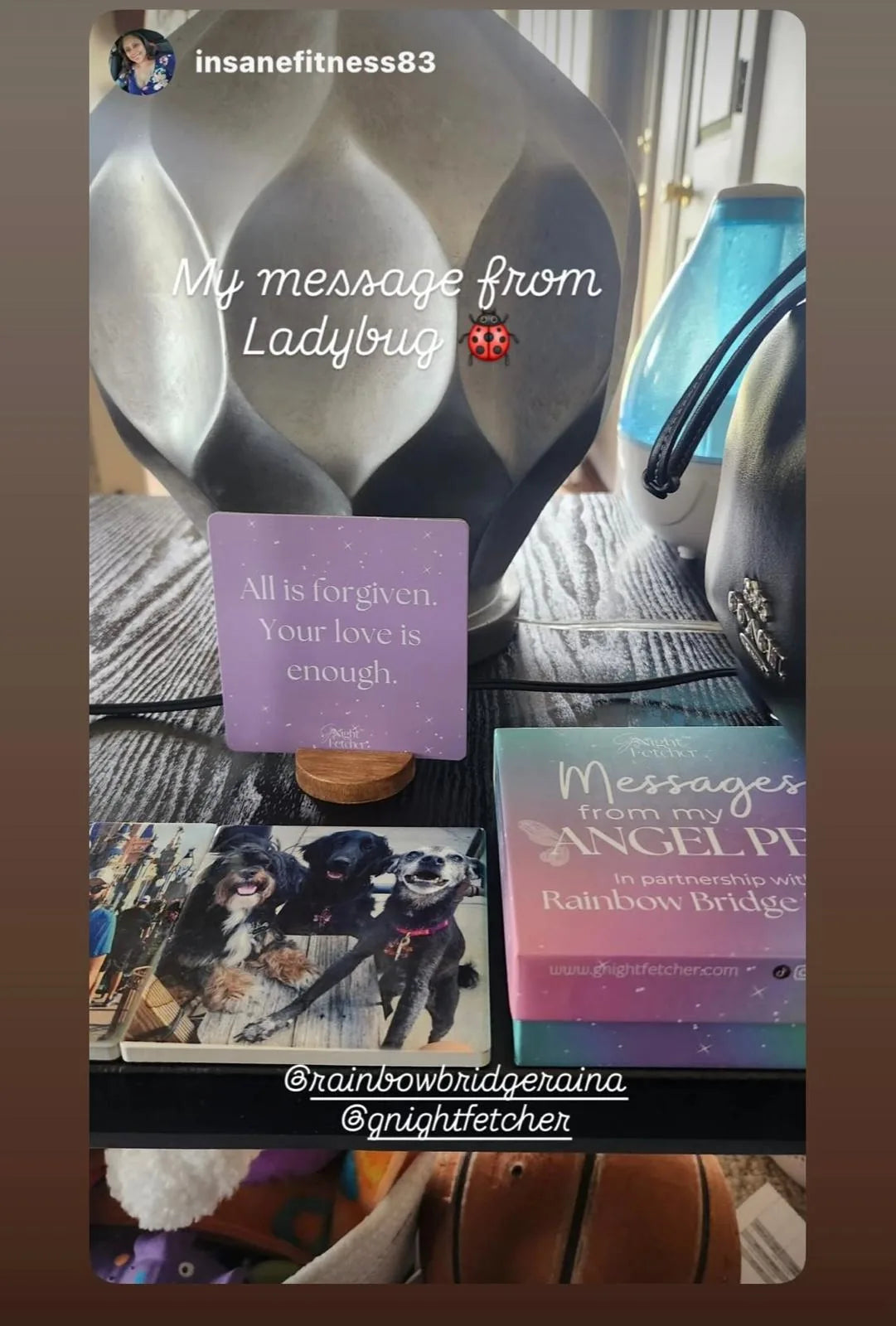 Purple sympathy card reads "All is forgiven. Your love is enough," displayed with a pet photo and a box of comfort cards.