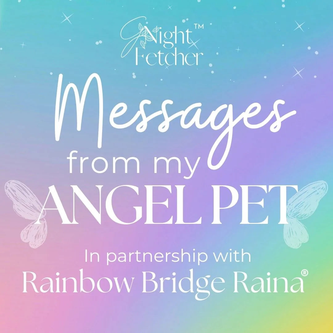 Colorful graphic featuring "Messages from my ANGEL PET" with soft butterfly designs and a gradient background.