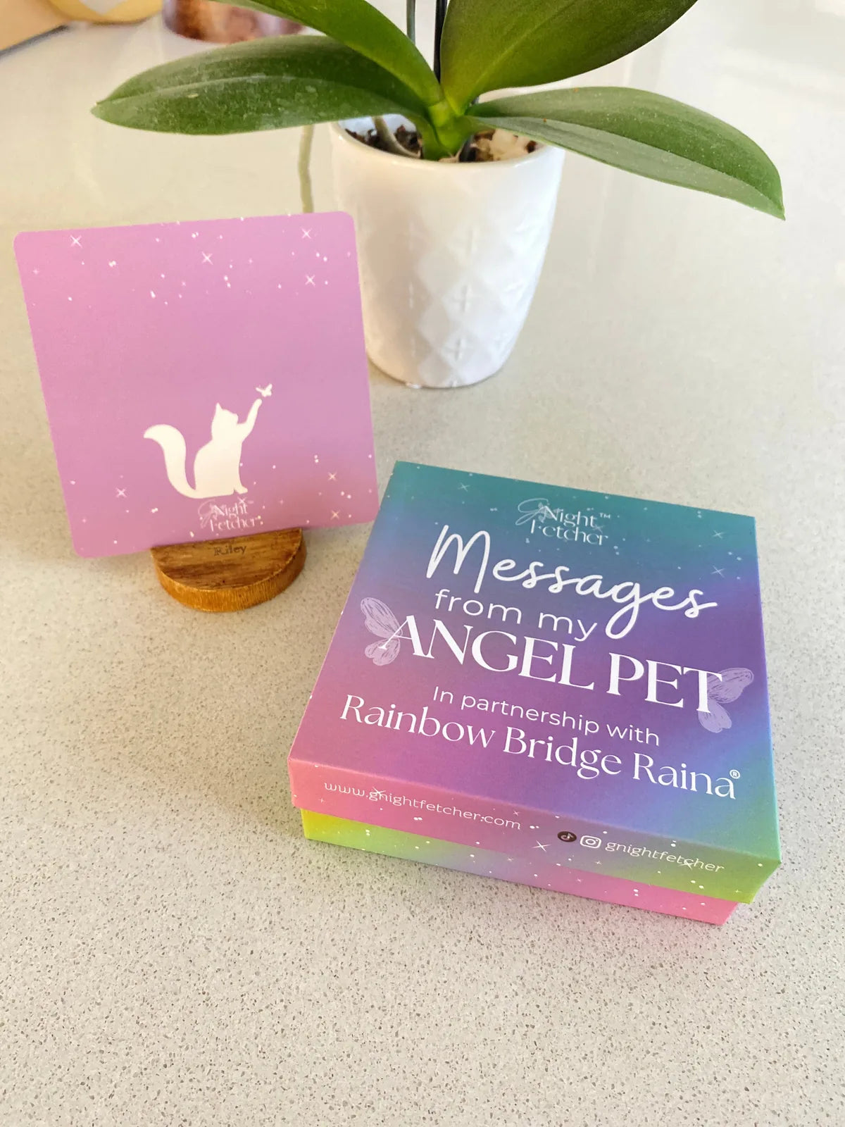 Purple sympathy card with a silhouette of a cat reaching for a butterfly, beside a colorful box of pet loss cards.