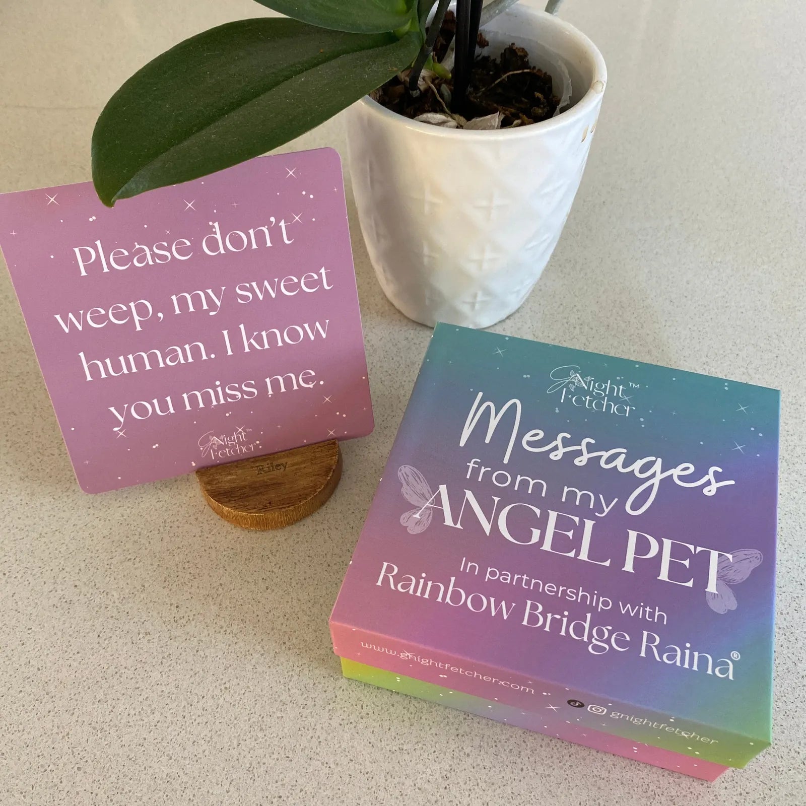Sympathy card display with the message "Please don’t weep, my sweet human" beside a colorful box, all on a light countertop.
