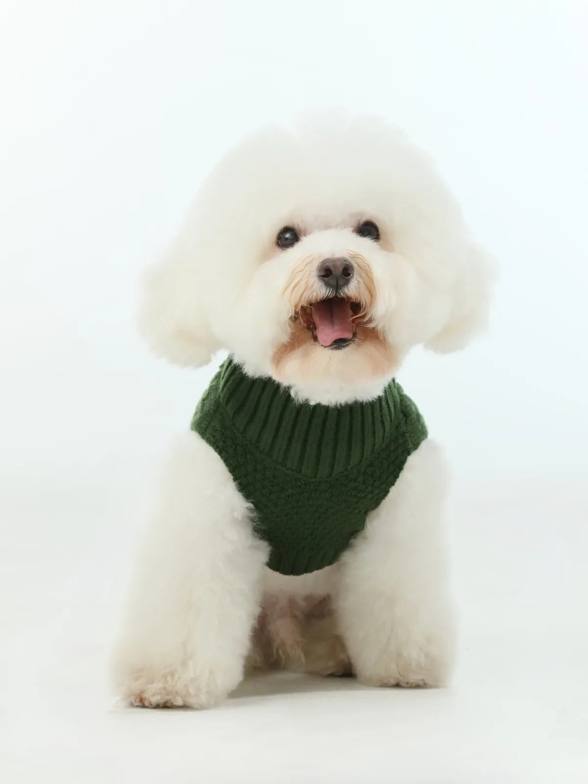 Cozy green knit pet sweater vest on a fluffy white dog, designed for warmth on cooler days.